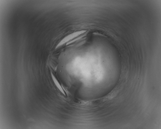 X0000067530720200604211843