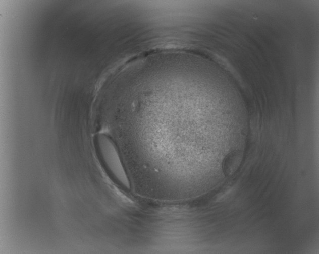 X0000067530721200604211843