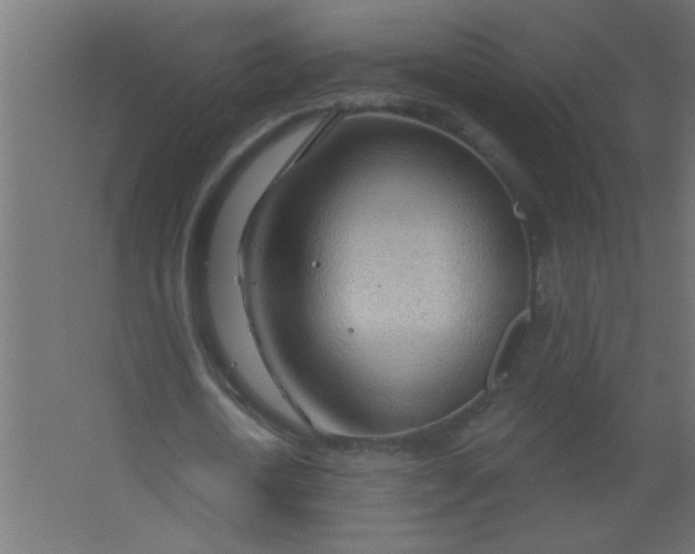 X0000067530722200604211843