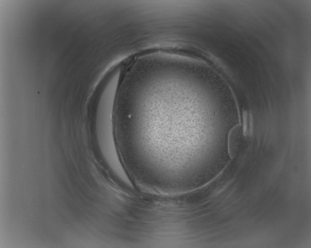 X0000067530723200604211843