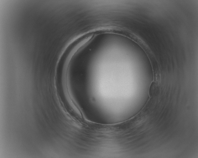 X0000067530724200604211843