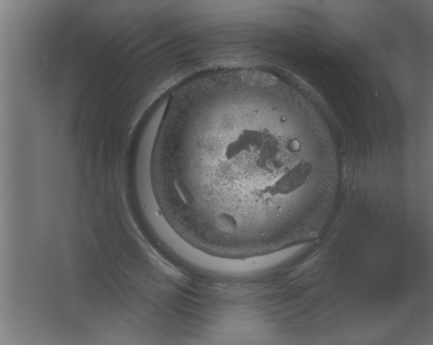 X0000067530725200604211843