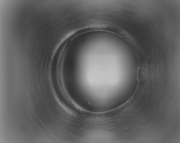 X0000067530726200604211843