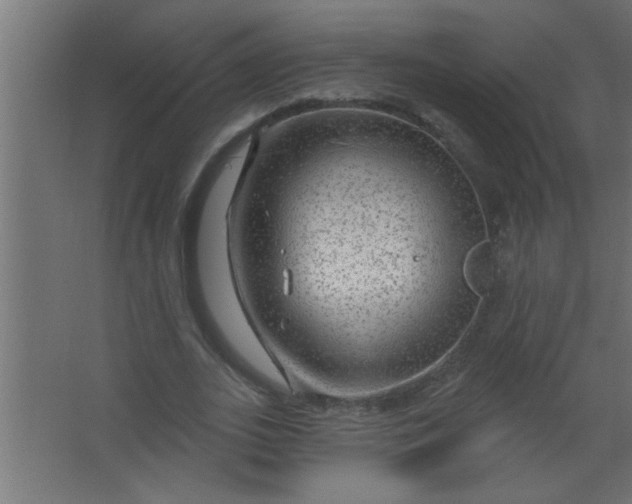 X0000067530727200604211843