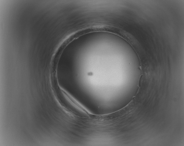 X0000067530728200604211843