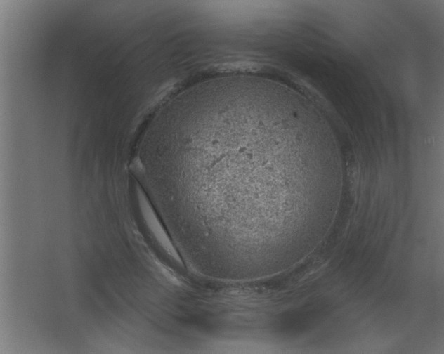 X0000067530729200604211843