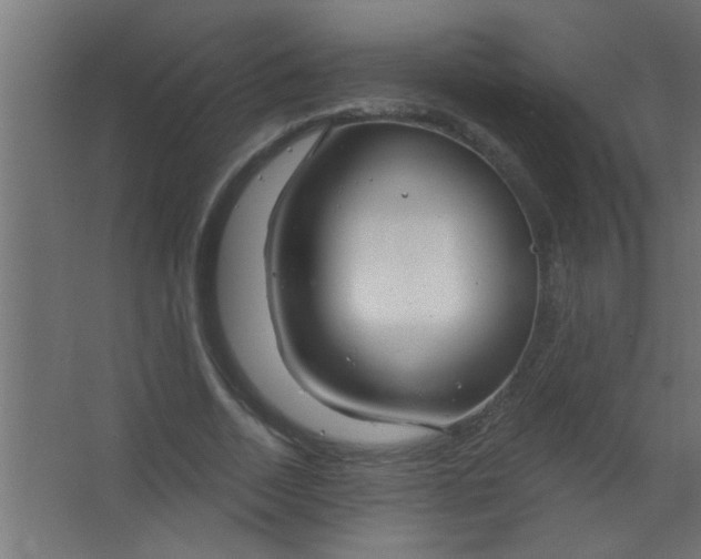 X0000067530730200604211843