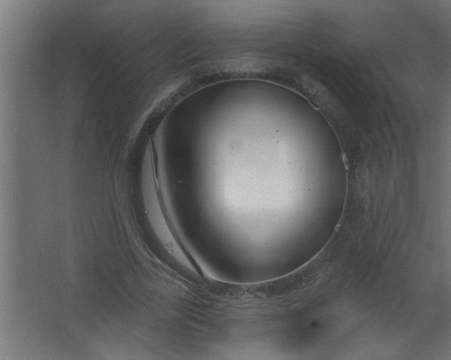 X0000067530731200604211843