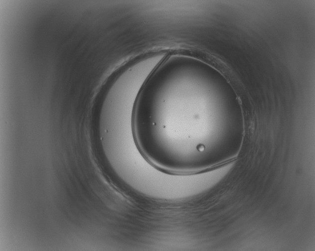 X0000067530732200604211843