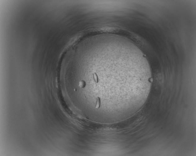 X0000067530734200604211843