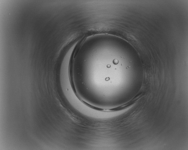 X0000067530735200604211843