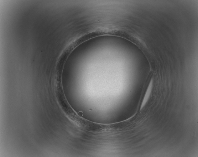 X0000067530736200604211843