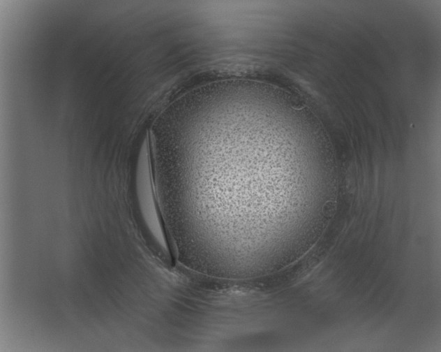 X0000067530737200604211843