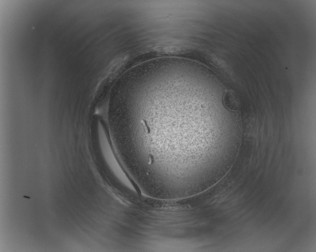 X0000067530738200604211843