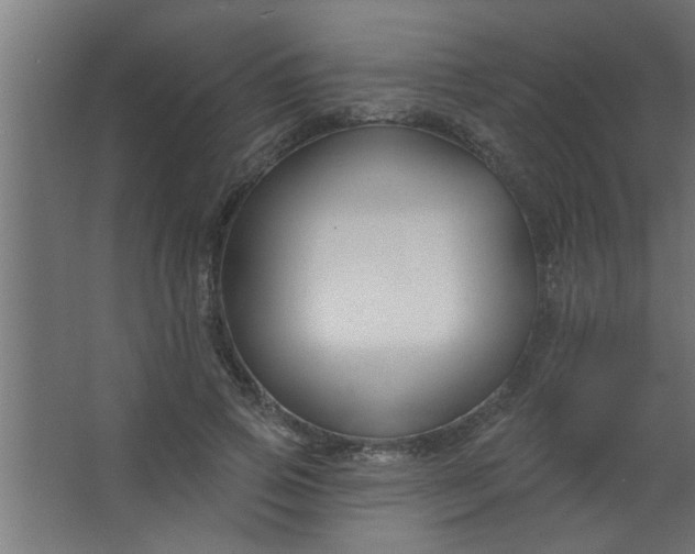 X0000067530741200604211843