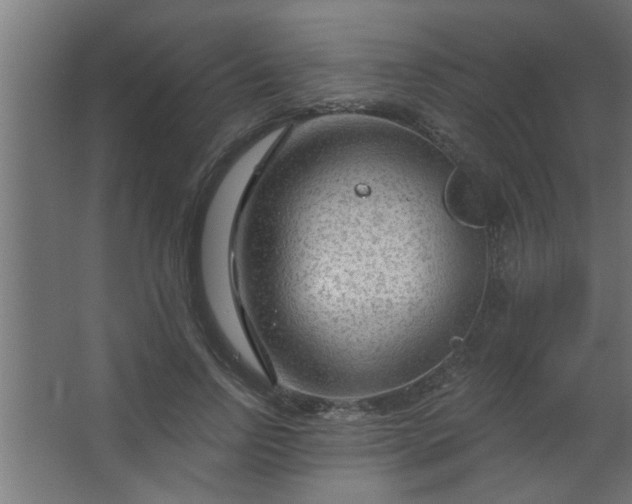 X0000067530742200604211843