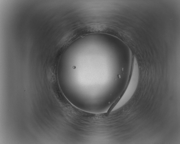 X0000067530743200604211843