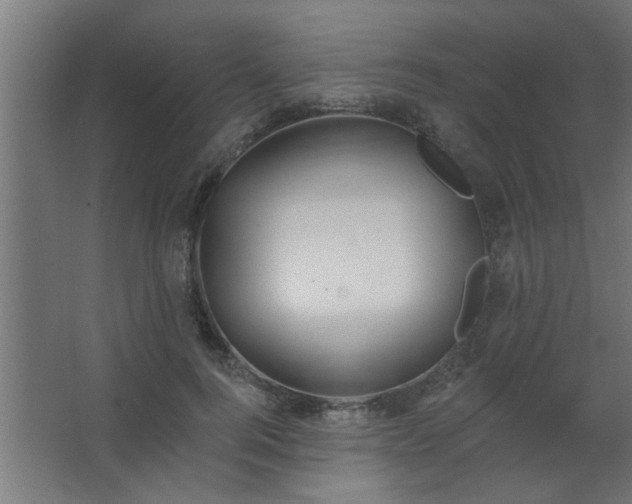 X0000067530744200604211843