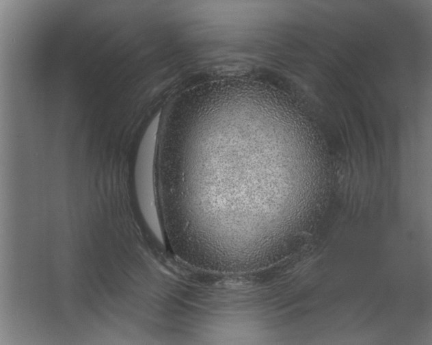 X0000067530745200604211843