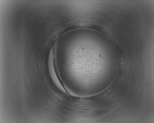 X0000067530746200604211843