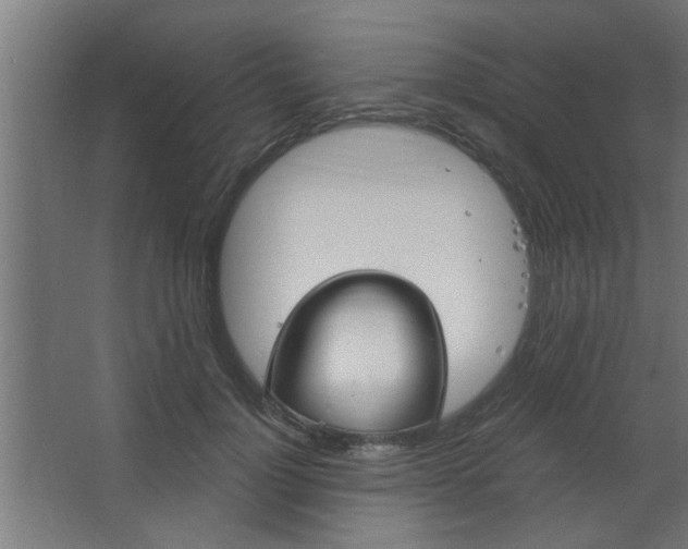 X0000067530748200604211843