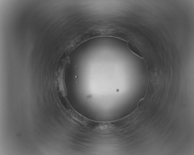 X0000067530752200604211843