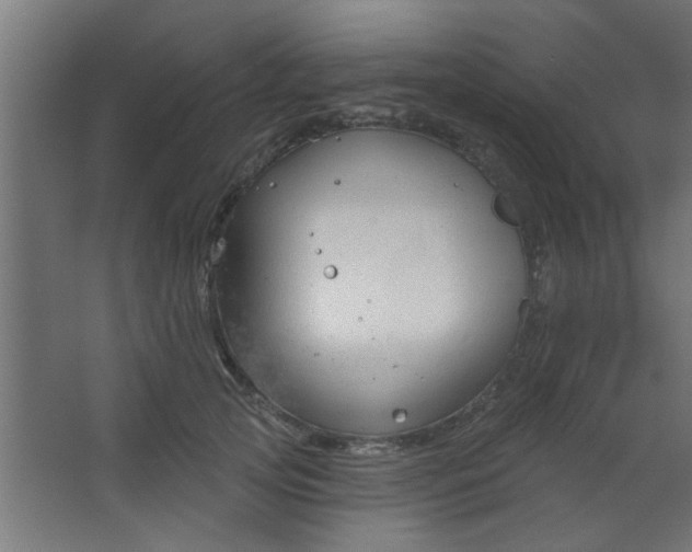 X0000067530753200604211843