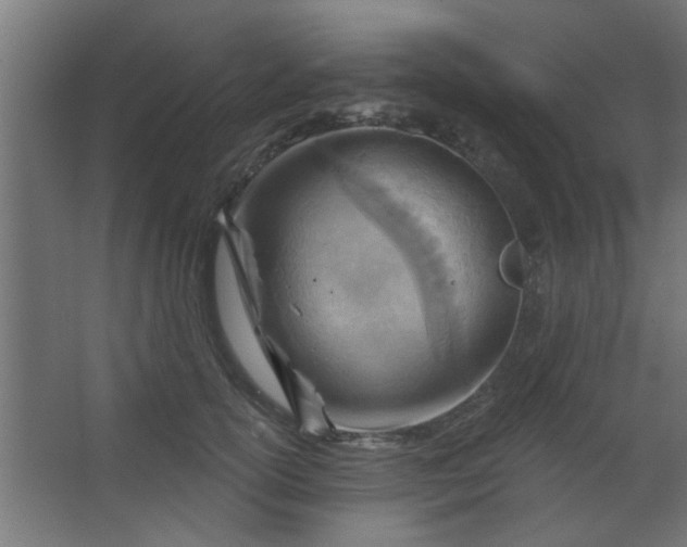 X0000067530754200604211843