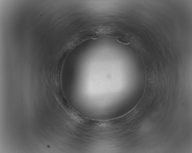 X0000067530755200604211843