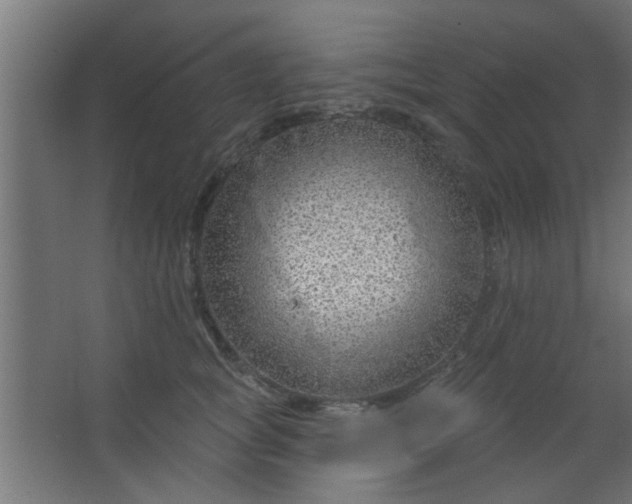 X0000067530757200604211843