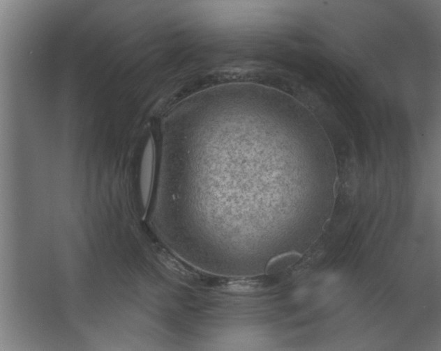 X0000067530758200604211843