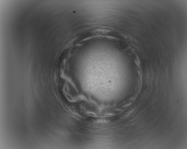 X0000067530759200604211843