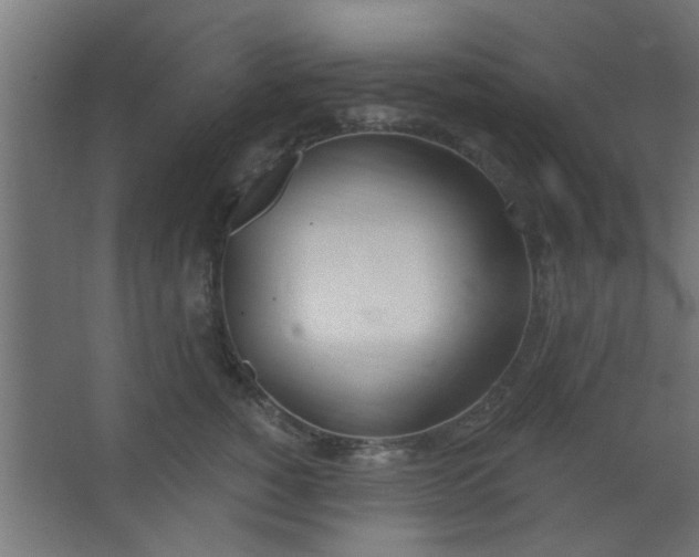 X0000067530760200604211843