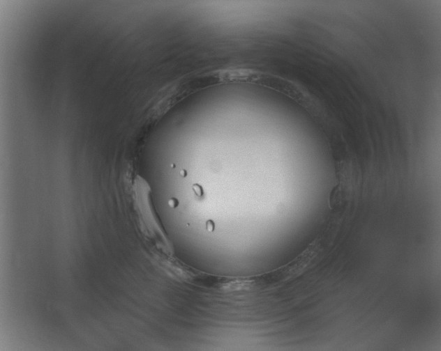 X0000067530761200604211843