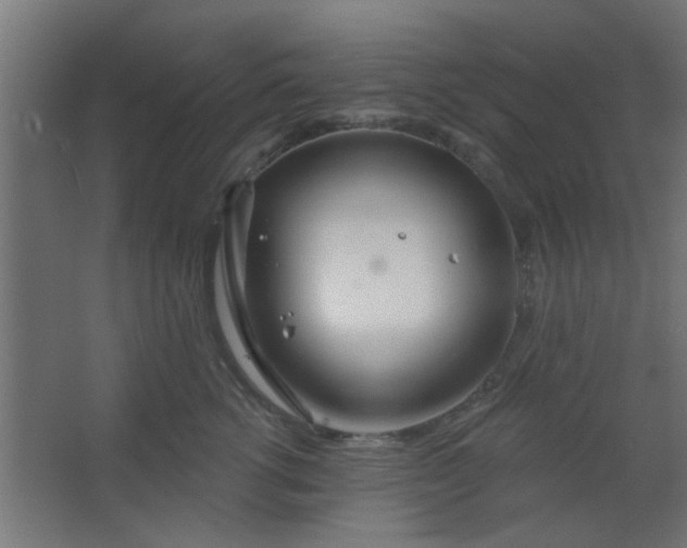 X0000067530762200604211843