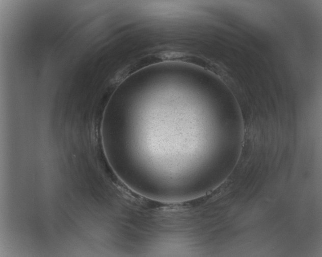 X0000067530763200604211843