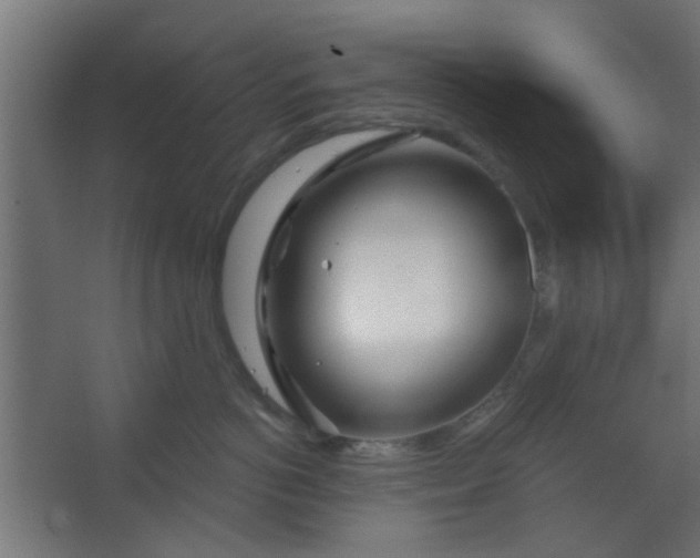 X0000067530766200604211843