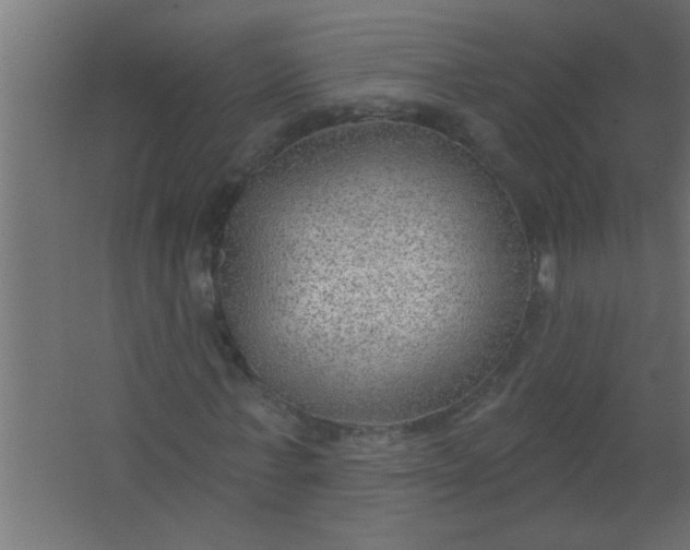 X0000067530771200604211843