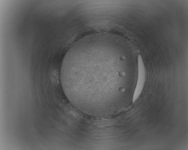 X0000067530772200604211843