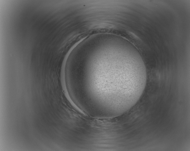 X0000067530774200604211842