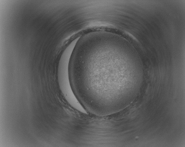 X0000067530775200604211842