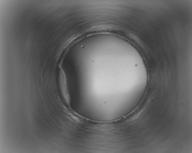 X0000067530778200604211842