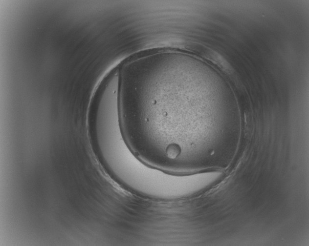 X0000067530780200604211842