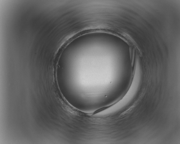 X0000067530781200604211842