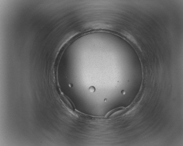 X0000067530782200604211842