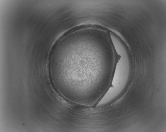 X0000067530783200604211842