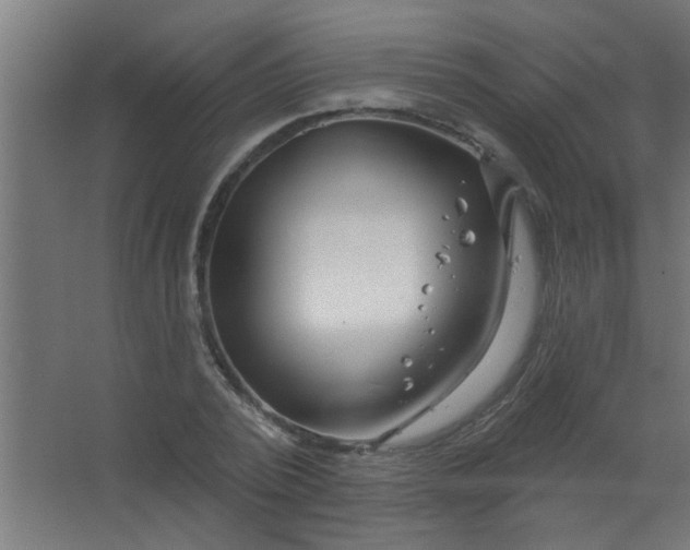 X0000067530784200604211842