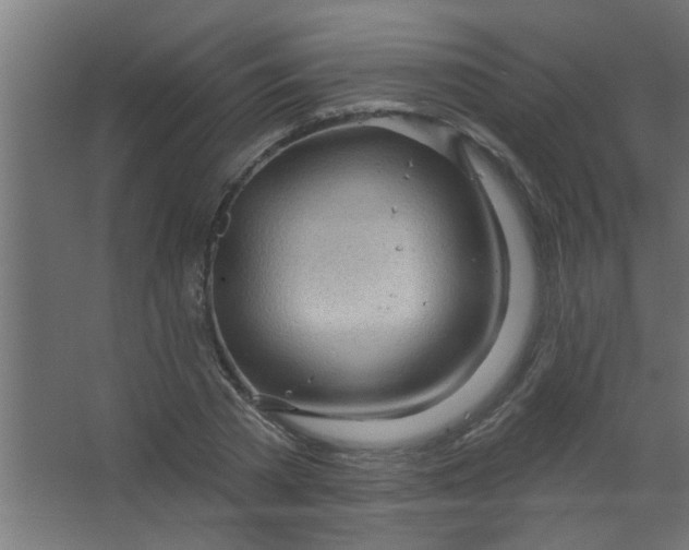 X0000067530785200604211842