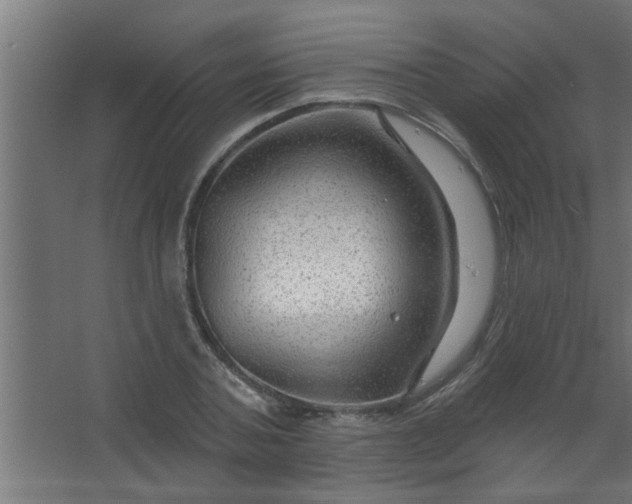 X0000067530787200604211842