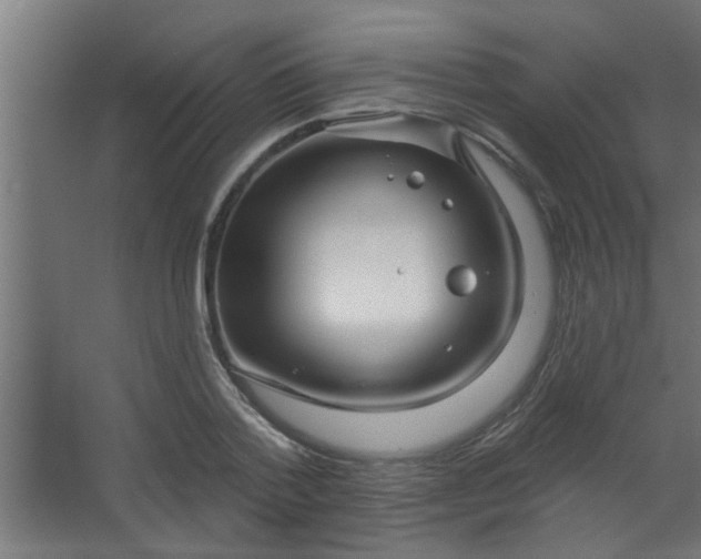 X0000067530788200604211842